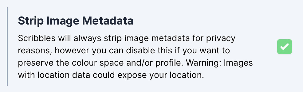 You can disable image metadata stripping if needed in Nitpick settings.