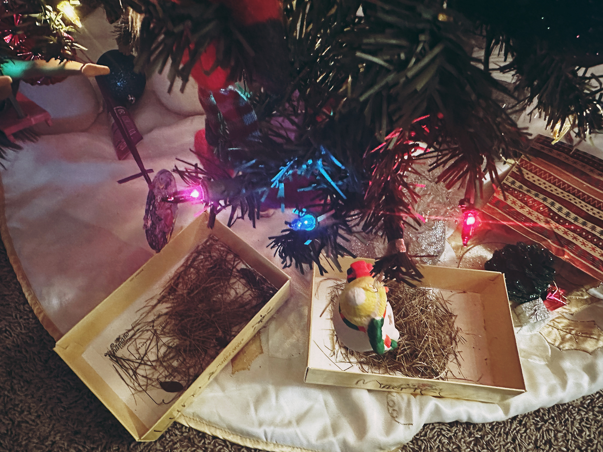 Two boxes filled with grass under the Christmas tree